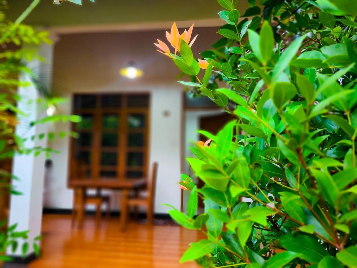 Woodholic Homestay Сигирия Экстерьер фото